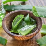 Aloe vera, tutte le proprietà benefiche