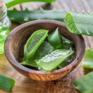 Aloe vera, tutte le proprietà benefiche